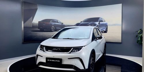 Byd Dolphin 2026